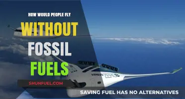 The Future of Flight: Fossil-Free Travel