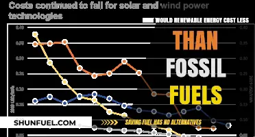 Renewable Energy: Cheaper Than Fossil Fuels?