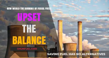 Fossil Fuel Burning: Unbalancing Our Planet's Health