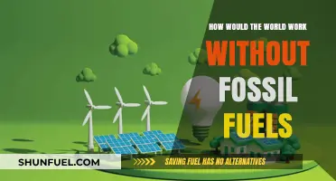 A World Without Fossil Fuels: The Energy Revolution