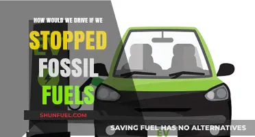 A Green Revolution: Driving Without Fossil Fuels