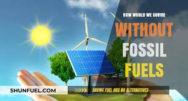 The World Without Fossil Fuels: Energy Alternatives