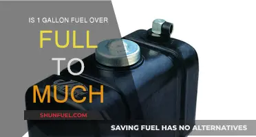 Overfilling Your Tank: Is It Too Much?