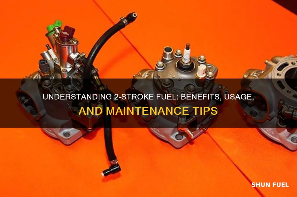 is 2 stroke fuel