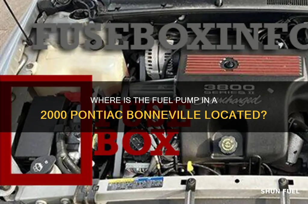 is 2000 pontiac bonneville fuel pump located in trink
