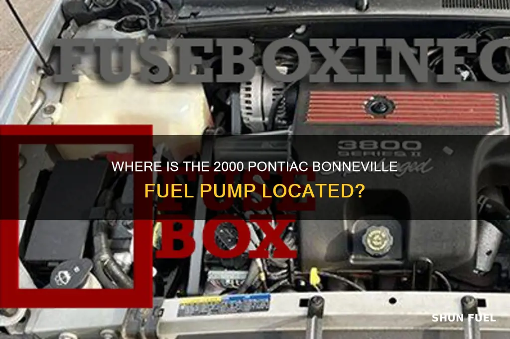 is 2000 pontiac bonneville fuel pump located in trunk