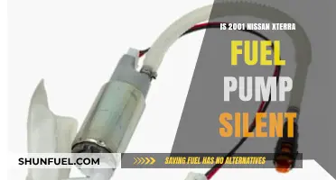 Is Your 2001 Nissan Xterra's Fuel Pump Silent? Find Out!