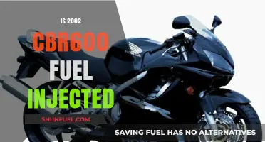 CBR600 Fuel System: Is the 2002 Model Fuel Injected?