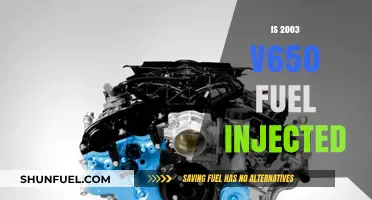 Exploring the 2003 V650: Fuel Injection or Carburetor System?
