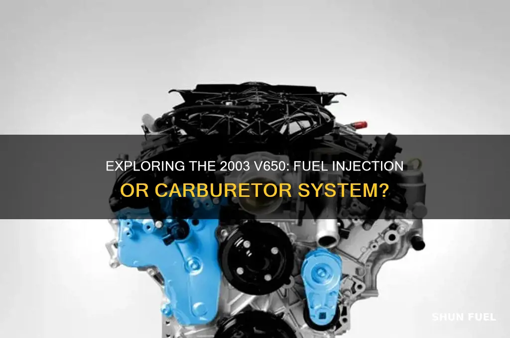 is 2003 v650 fuel injected