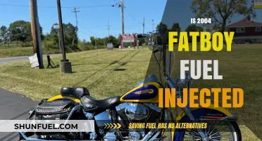 Is the 2004 Harley-Davidson Fatboy Fuel Injected? Find Out!