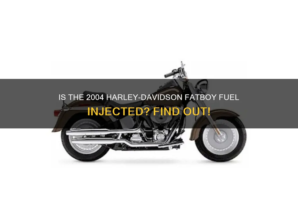 is 2004 fatboy fuel injected