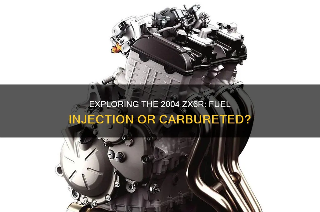 is 2004 zx6r fuel injected
