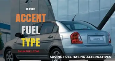 2008 Hyundai Accent Fuel Type: Gasoline or Diesel Options Explained