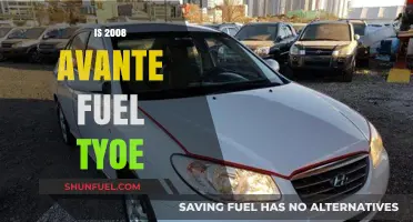 Hyundai Avante 2008 Fuel Type: Gasoline or Diesel?
