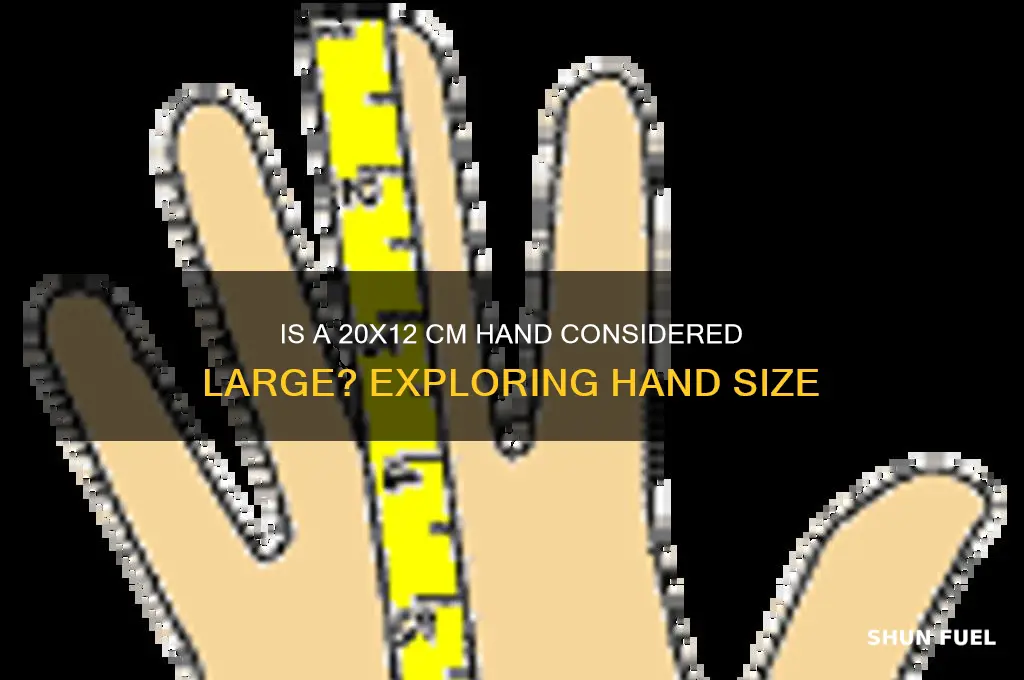 is 20x12 cm hand large