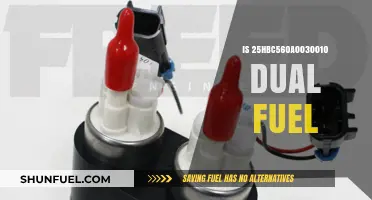 Is the 25HBC560A0030010 a Dual Fuel Model?