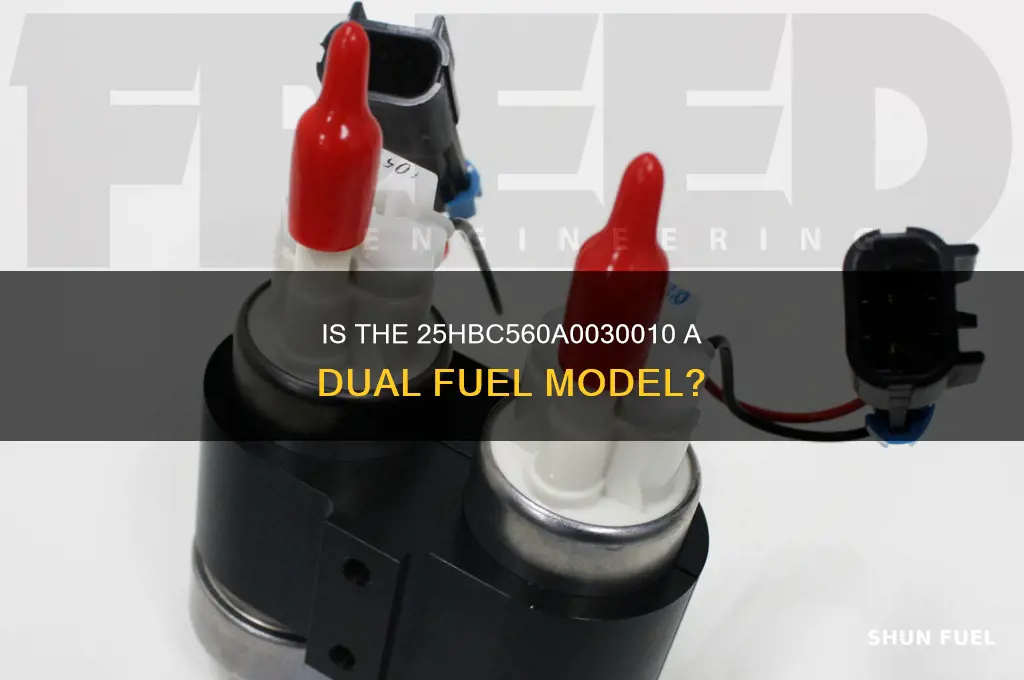 is 25hbc560a0030010 dual fuel
