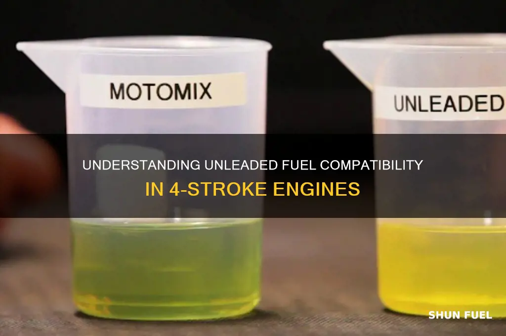 is 4 stroke fuel unleaded