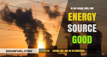 Fossil Fuels: Sustainable Energy Source or Environmental Disaster?