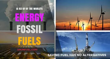 Fossil Fuels: Dominant Energy Source