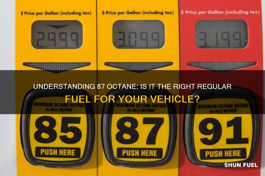 is 87 fuel regular
