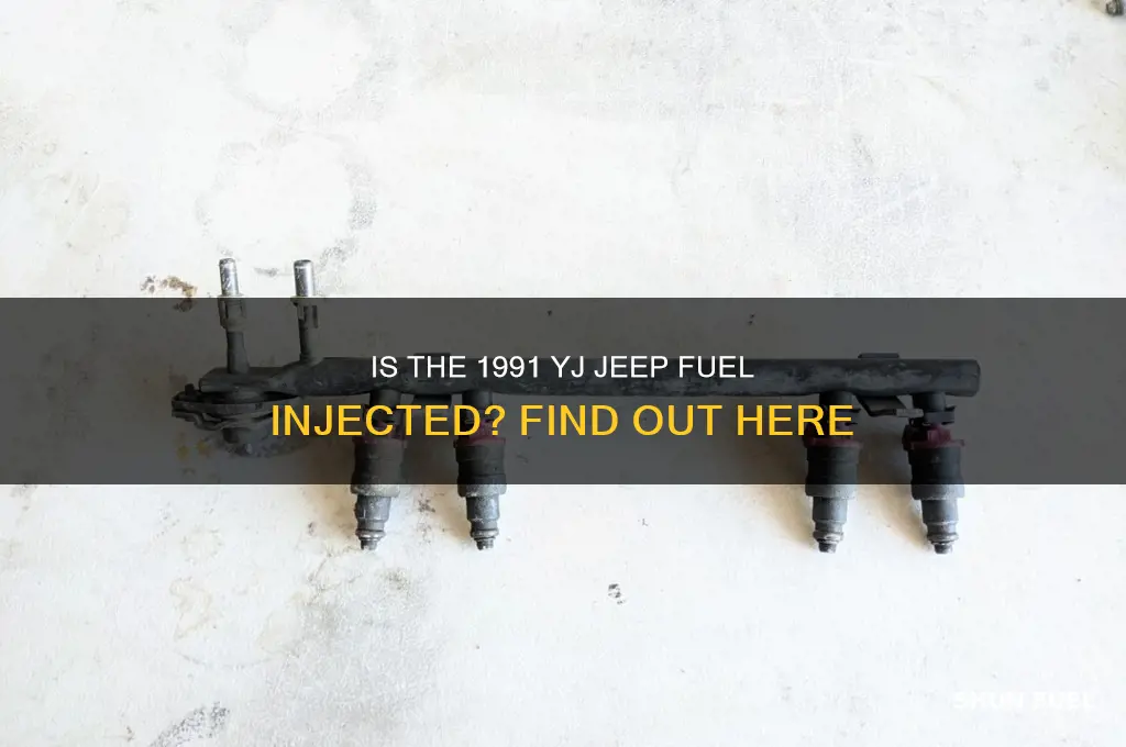 is 91 yj fuel injected