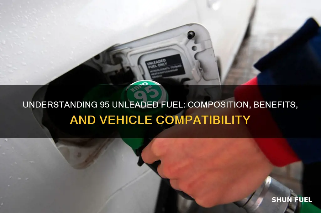 is 95 fuel unleaded