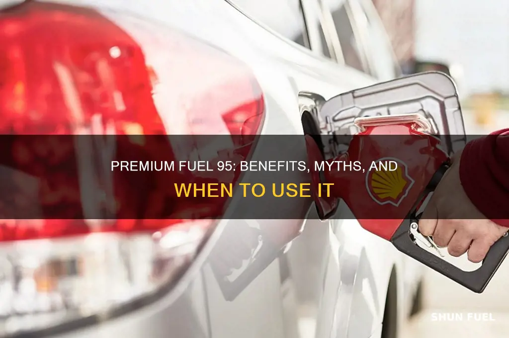 is 95 premium fuel