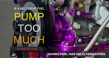 Belt Drive Fuel Pump: Overkill or Optimal?