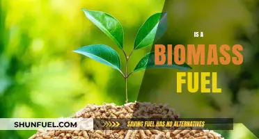 Exploring Biomass Fuel: Sustainable Energy Source or Environmental Concern?