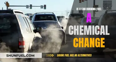 Fuel-Burning Cars: Chemistry in Action