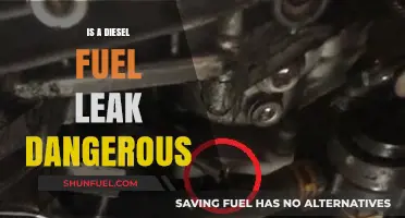 Diesel Fuel Leaks: Are They Dangerous?