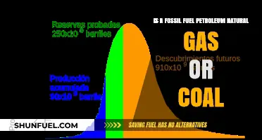 Fossil Fuels: Coal, Petroleum, and Natural Gas