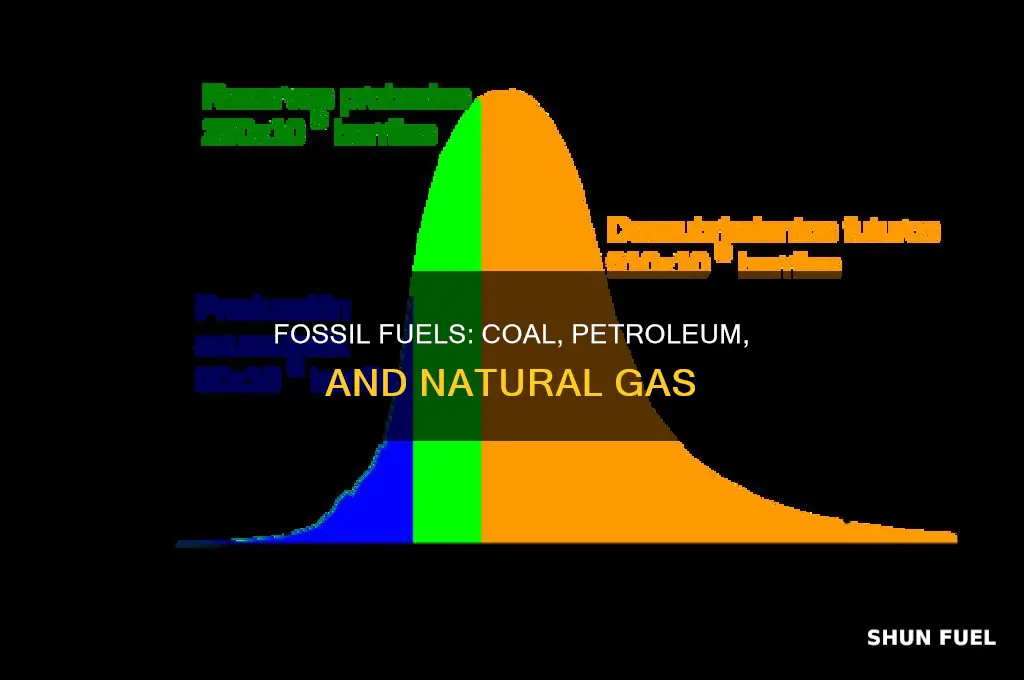 is a fossil fuel petroleum natural gas or coal