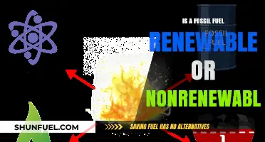 Fossil Fuels: Non-Renewable Energy Sources