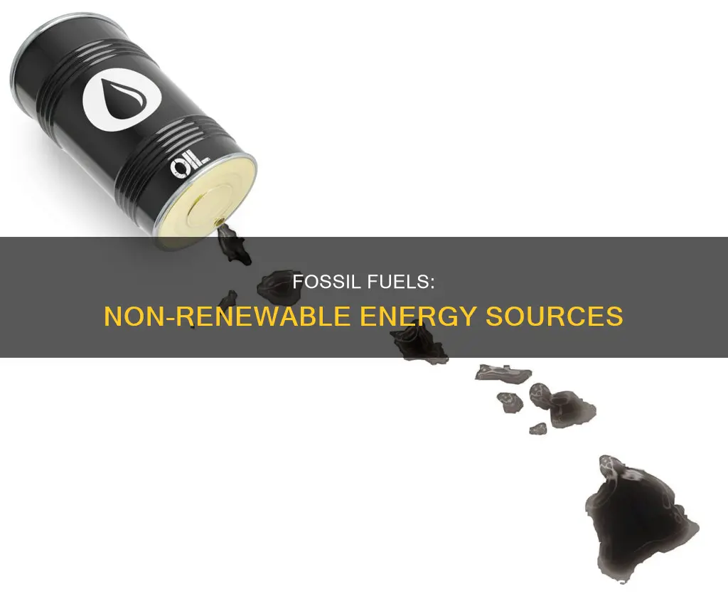 is a fossil fuel renewable or nonrenewable