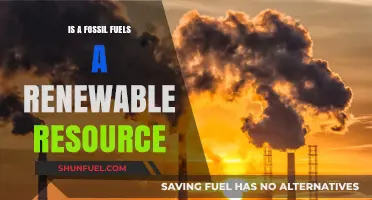 Fossil Fuels: A Renewable Resource?