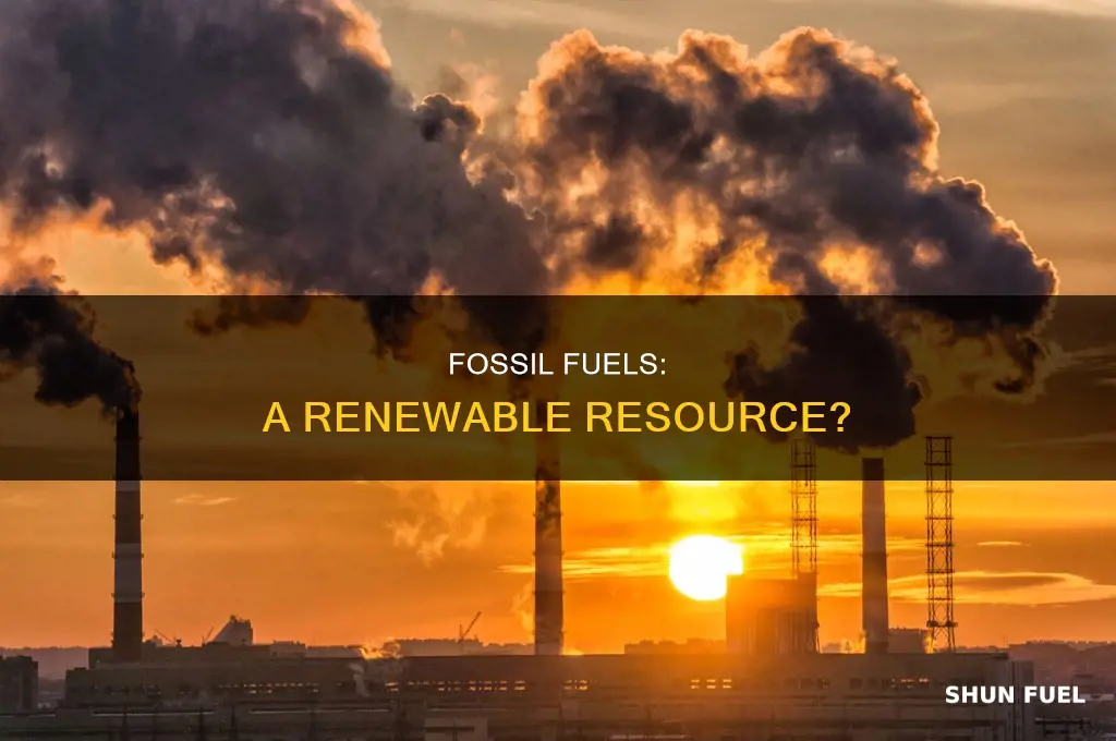 is a fossil fuels a renewable resource