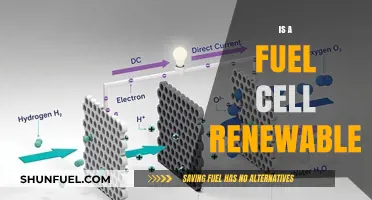 Are Fuel Cells Truly Renewable? Exploring Their Sustainability and Energy Potential