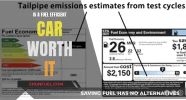 Fuel Efficiency: Are Eco-Friendly Cars Worth the Cost?