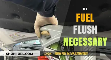 Is a Fuel Flush Necessary? Understanding Its Benefits and Risks