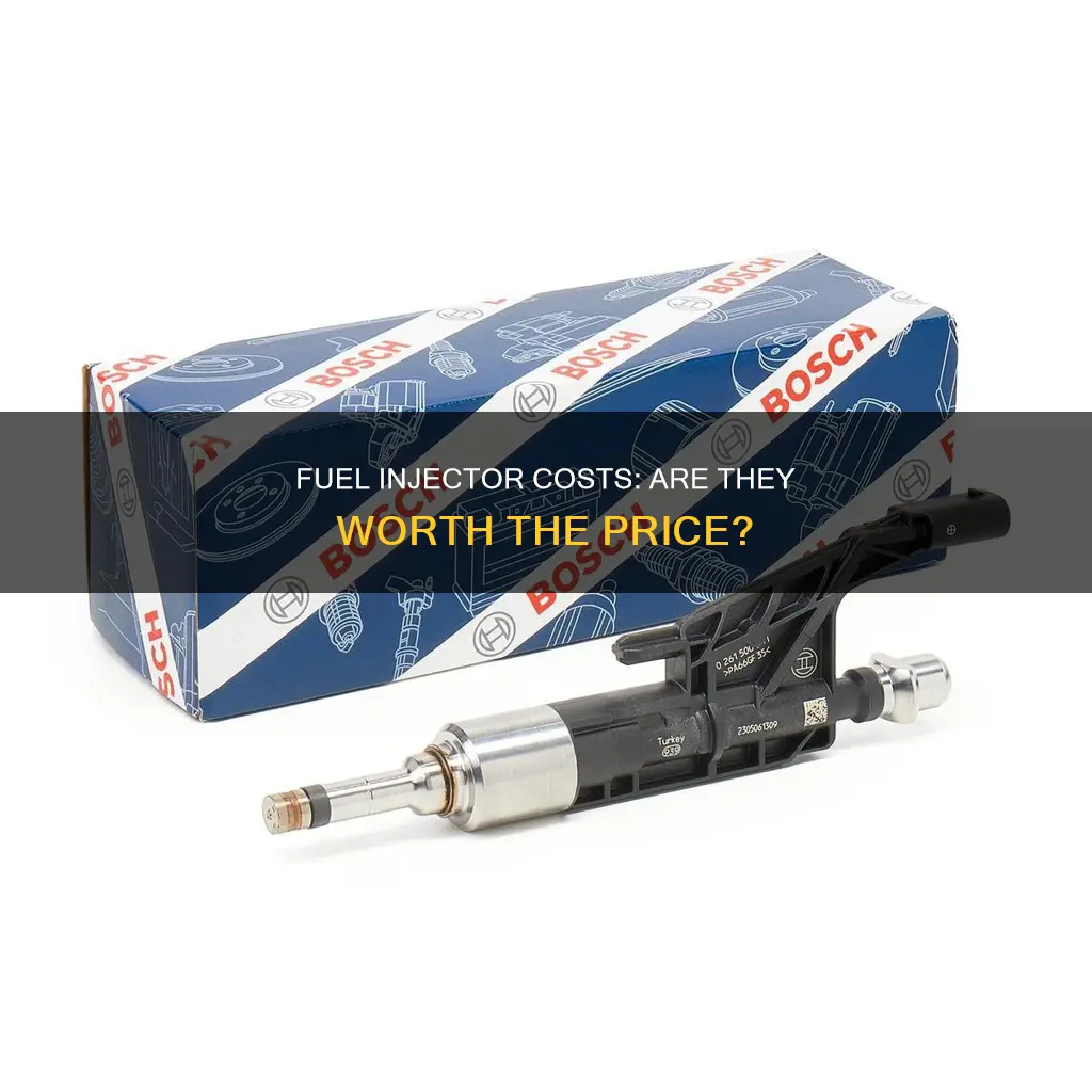 is a fuel injector expensive