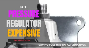 Fuel Pressure Regulator: Costly or Affordable?