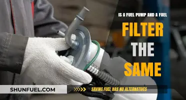 Fuel Pump and Filter: Are They the Same?