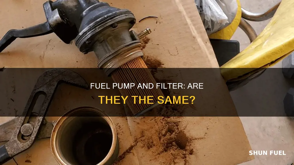 is a fuel pump and a fuel filter the same