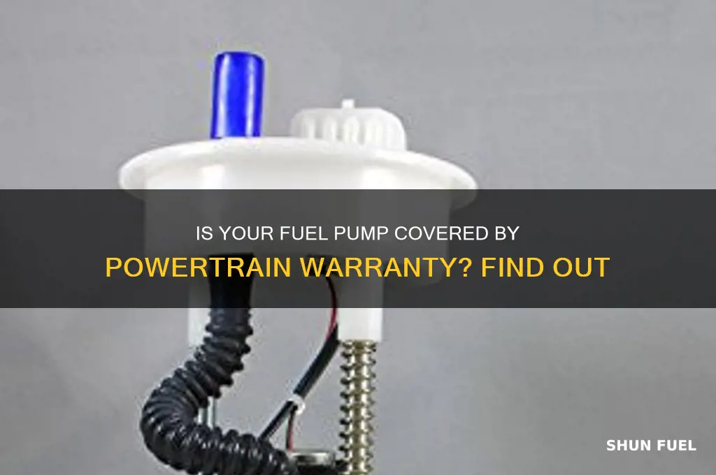 is a fuel pump covered under a powertrain warranty