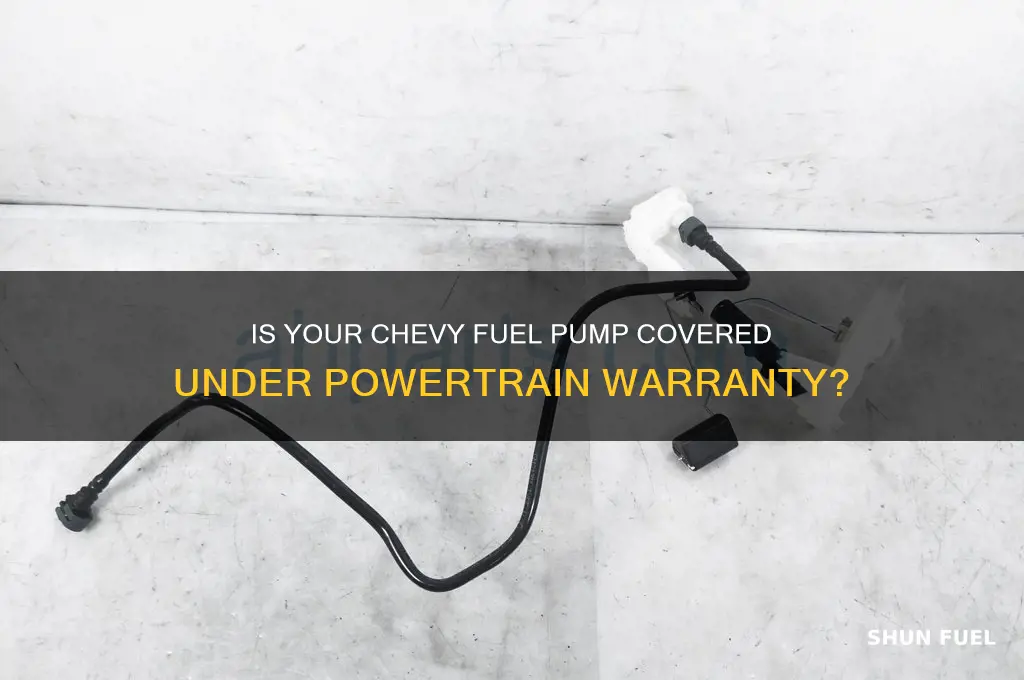 is a fuel pump covered under chevy powertrain warranty
