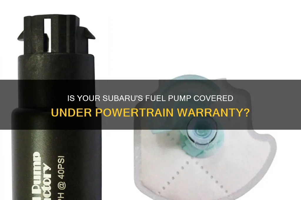 is a fuel pump covered under subaru powertrain warranty