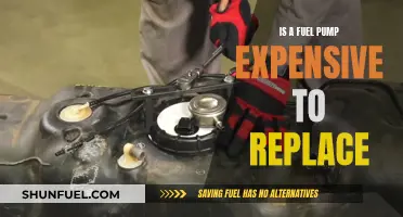 Fuel Pump Replacement: Costly Repair or Simple Fix?